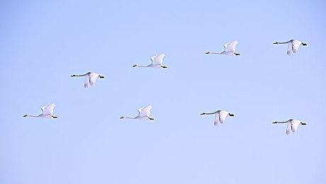 《最后的生还者2：重制版》升级细节公布 存档可继承